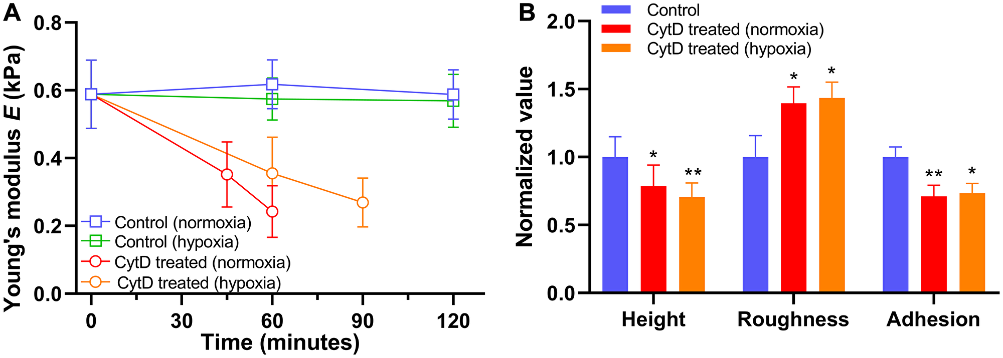 Figure 6: Alteration in biomechanical properties of PANC-1 cells exposed to 5 &mu;M cytochalasin D (CytD) in normoxia and hypoxia.