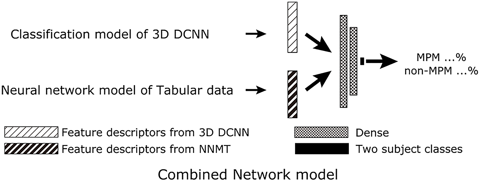 Figure 5: Scheme for proposed AI with combined PET/CT imaging, SUVmax, gender, and age (protocol D).