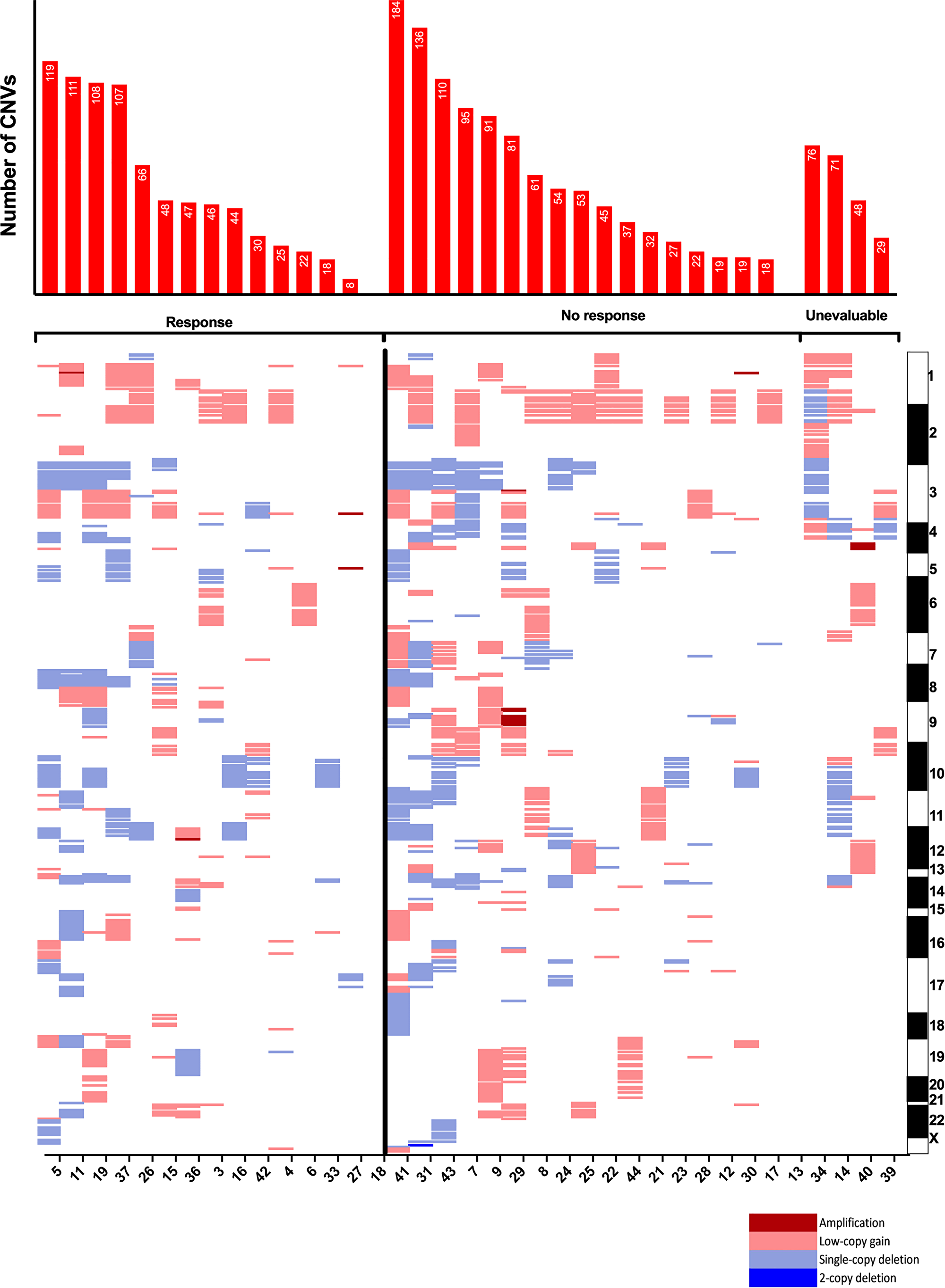 Figure 3: Copy-number variants by response to immune checkpoint inhibitor.