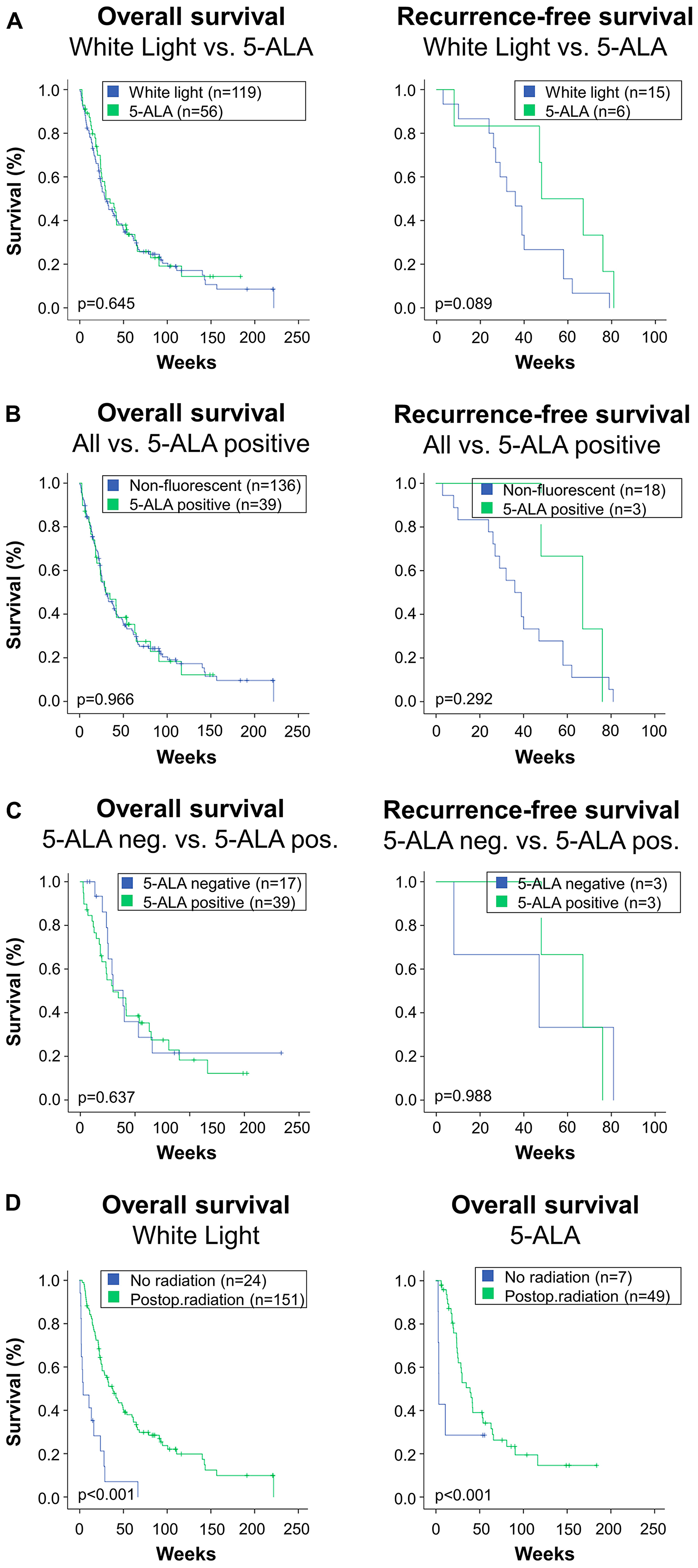 Figure 2: This figure depicts overall survival and local in-brain recurrence-free survival in the study's subgroups.