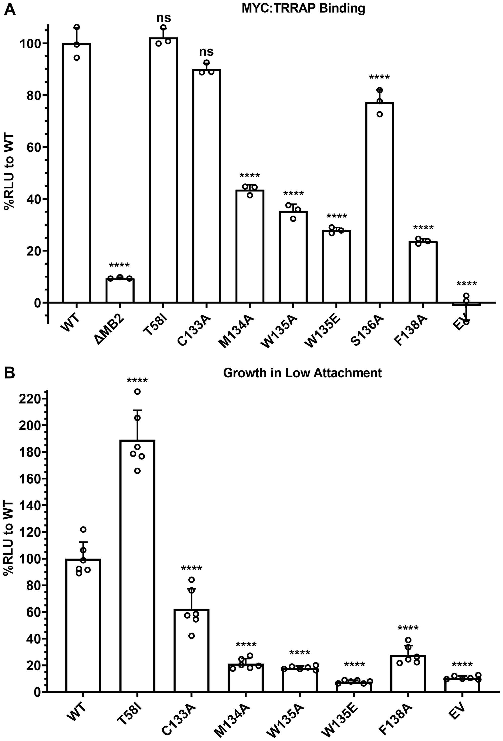 Figure 4: MB2 substitutions affect TRRAP binding and cellular transformation.