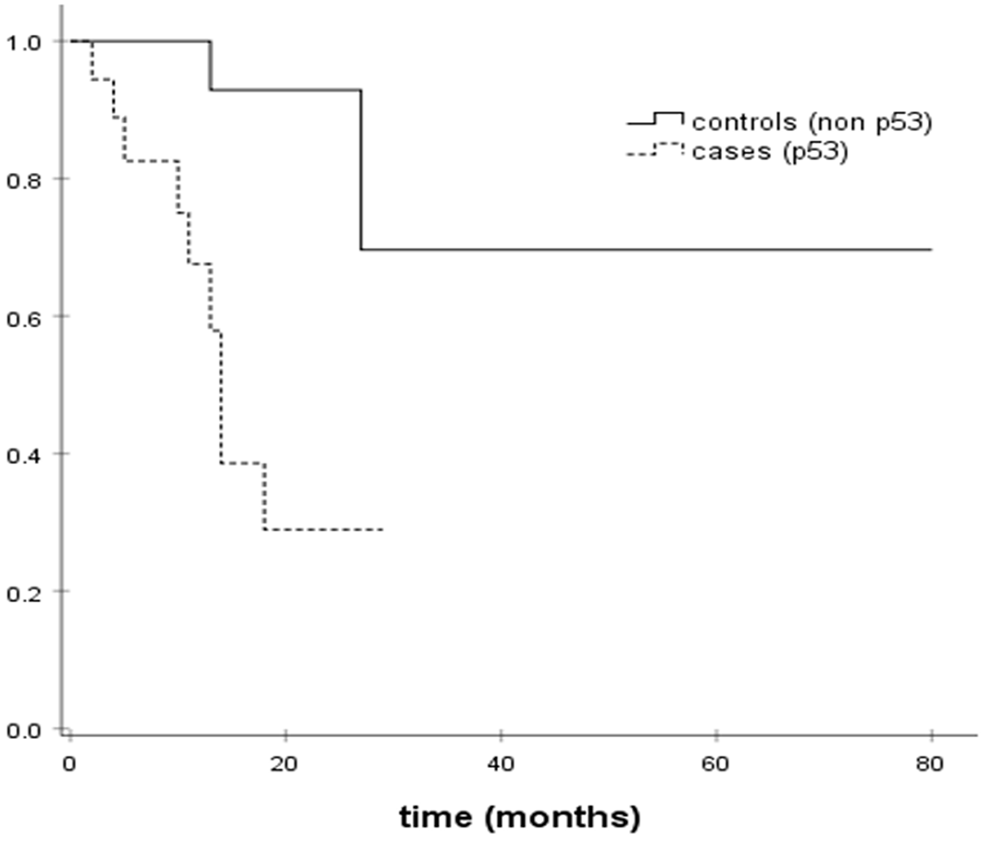 Figure 1: Kaplan&ndash;Meier DFS estimates.