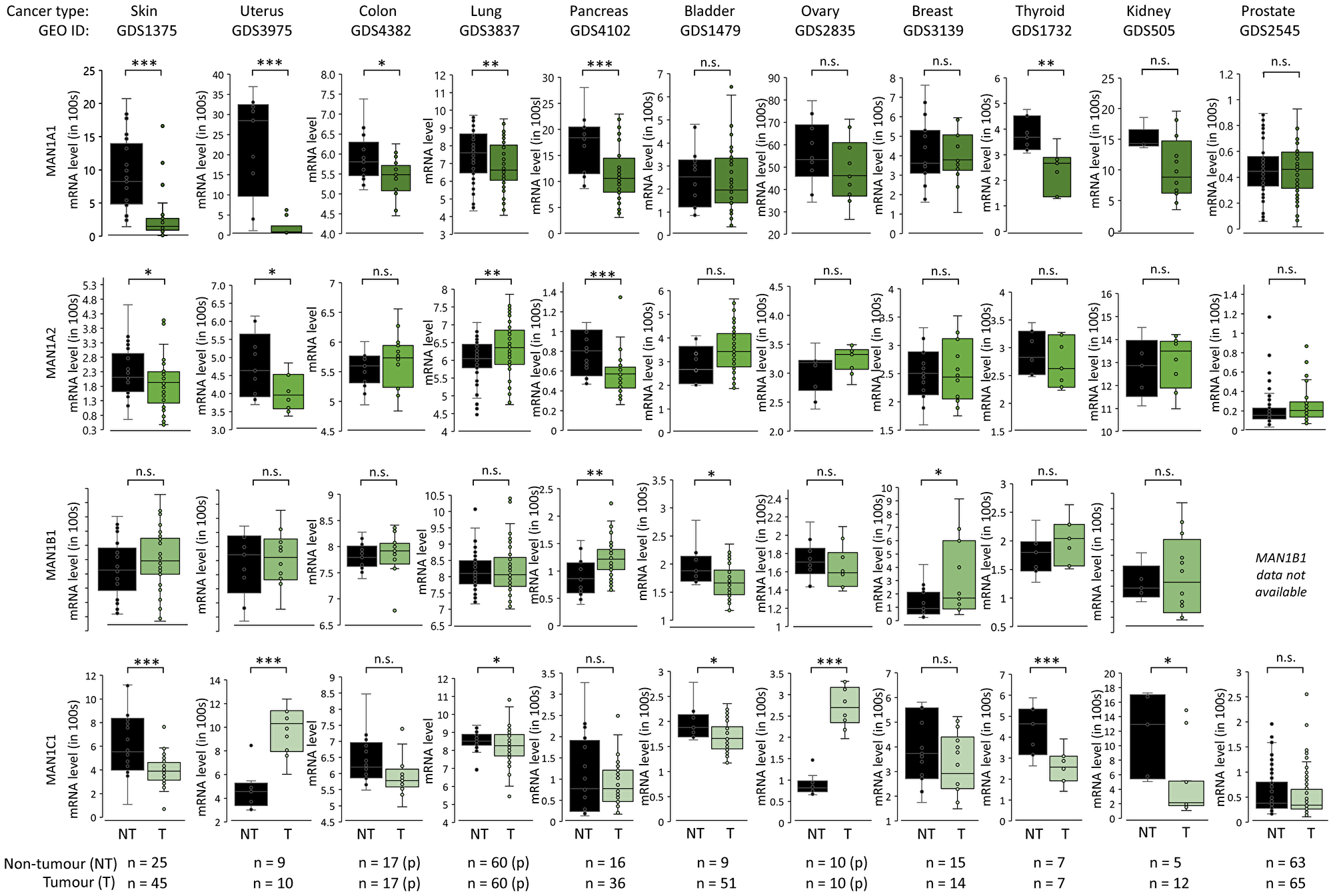 Figure 4: &alpha;1,2-mannosidase expression patterns in cancer.
